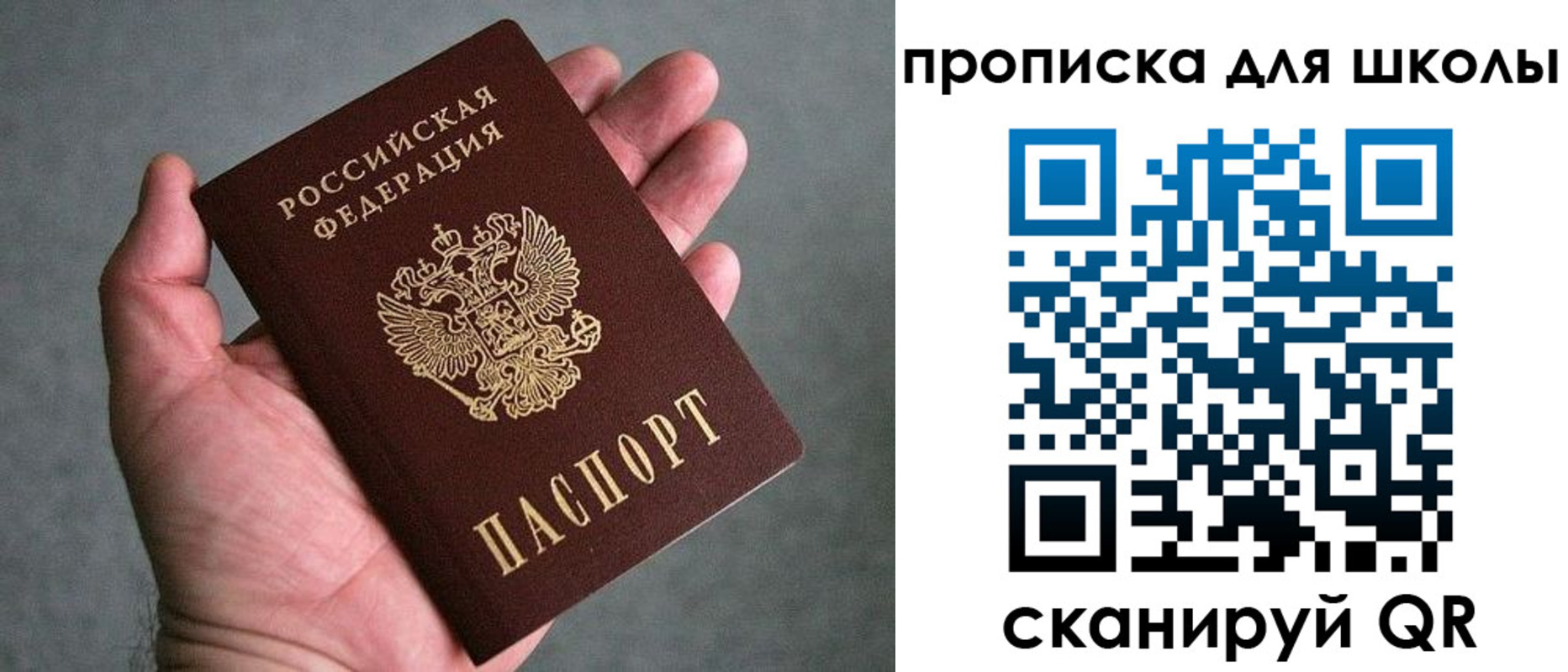 прописка для школы в Волоколамске